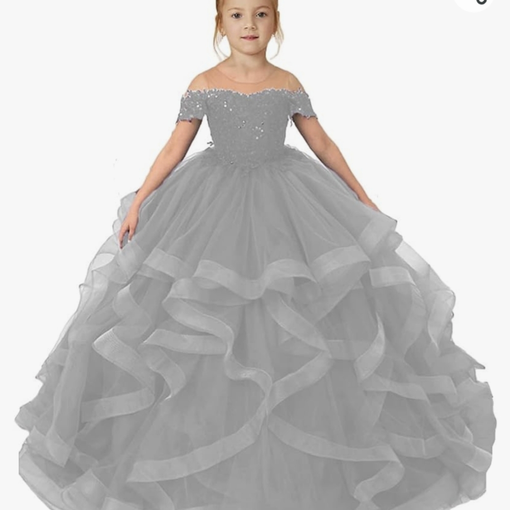 Silver Princess Dress - Picture 4 of 5